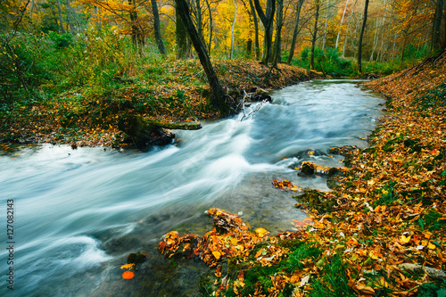 Autumn flowing stream