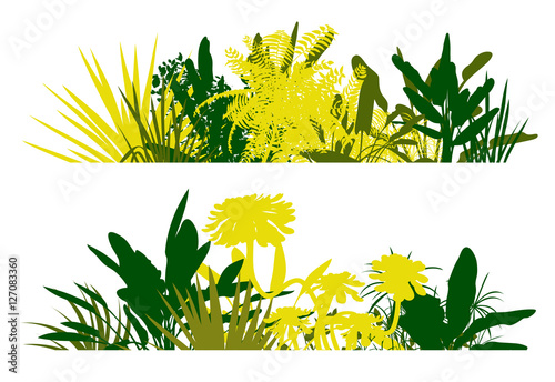 Jungle plant leaves silhouettes in detailed forest background co