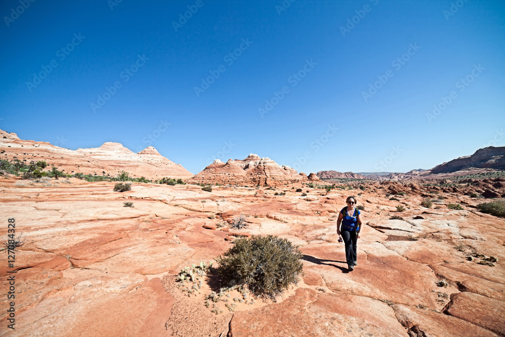 The Wave - Coyote Buttes South