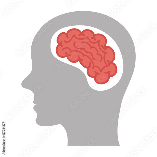 brain storm human organ icon vector illustration design