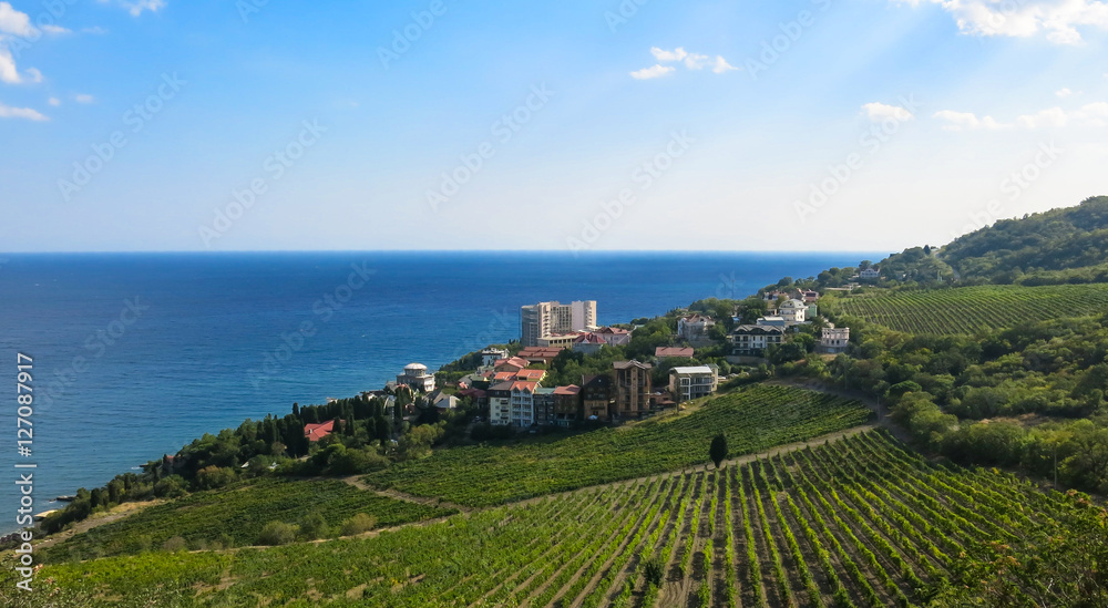 holiday village and vineyard by the sea