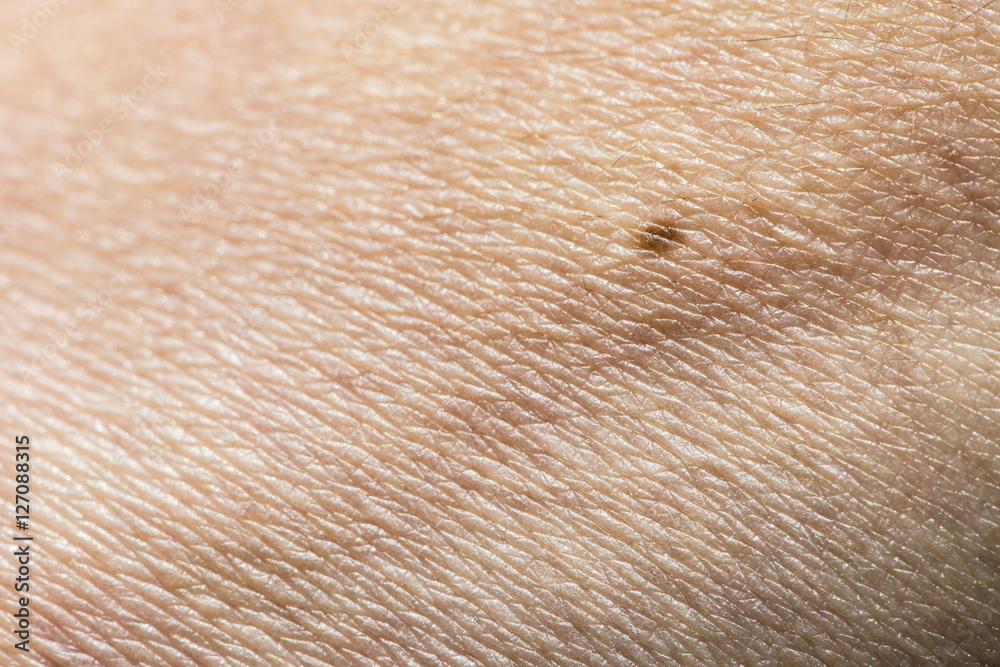 Fototapeta premium Human skin