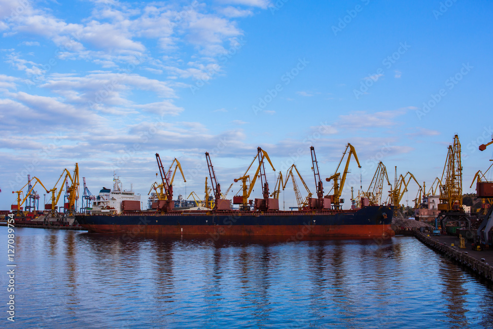 sea cargo terminal with cranes and containers