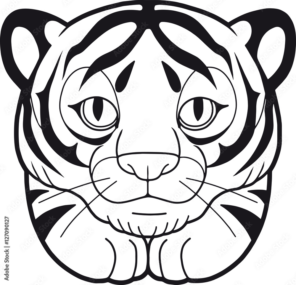 tiger
