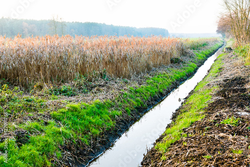 Canvas Print drainage ditch in autumn scenery