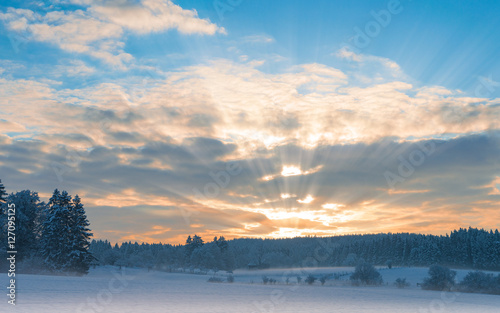 Frosty early morning winter panoramic scenery with rising sun sunbeam over frozen snowfield and snow-covered forest © servickuz