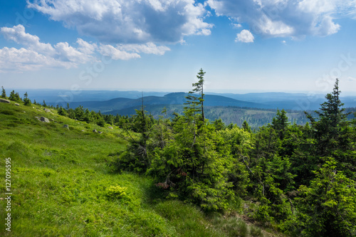 Mountains and forest of Harz in the sunlight , Germany