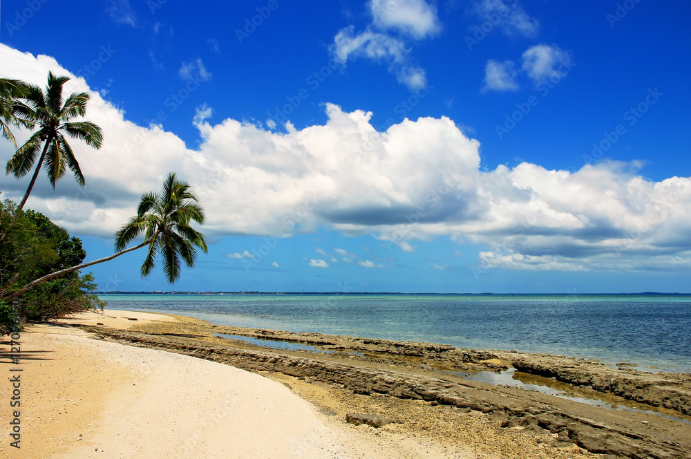 Shore of Makaha'a island near Tongatapu island in Tonga