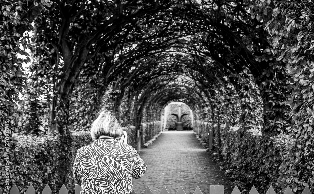 Fototapeta premium Black-white photo of old woman which photographs park. Muiderslot castle ancient park ensemble in Muiden, Noord-Holland, The Netherlands.