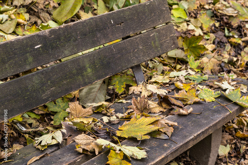 Alte Holzbank mit Herbstlaub bedeckt - Detailansicht