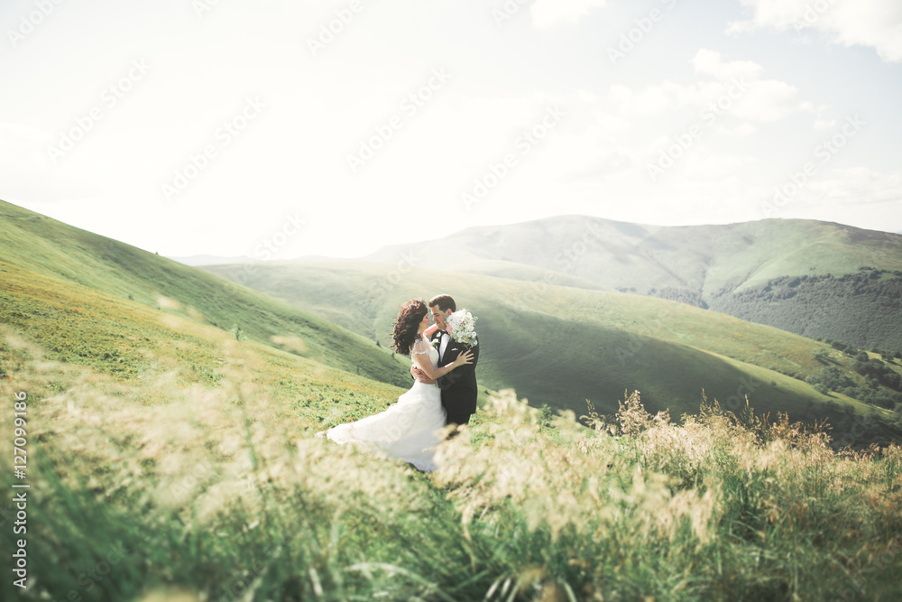 Kissing wedding couple staying over beautiful landscape Kissing wedding couple staying over beautiful landscape