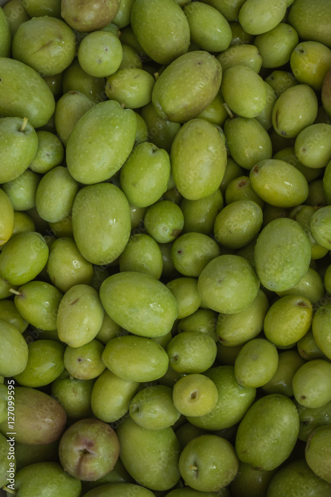 Fresh harvested olives, washed and ready to be pressed Fresh harvested olives, washed and ready to be pressed