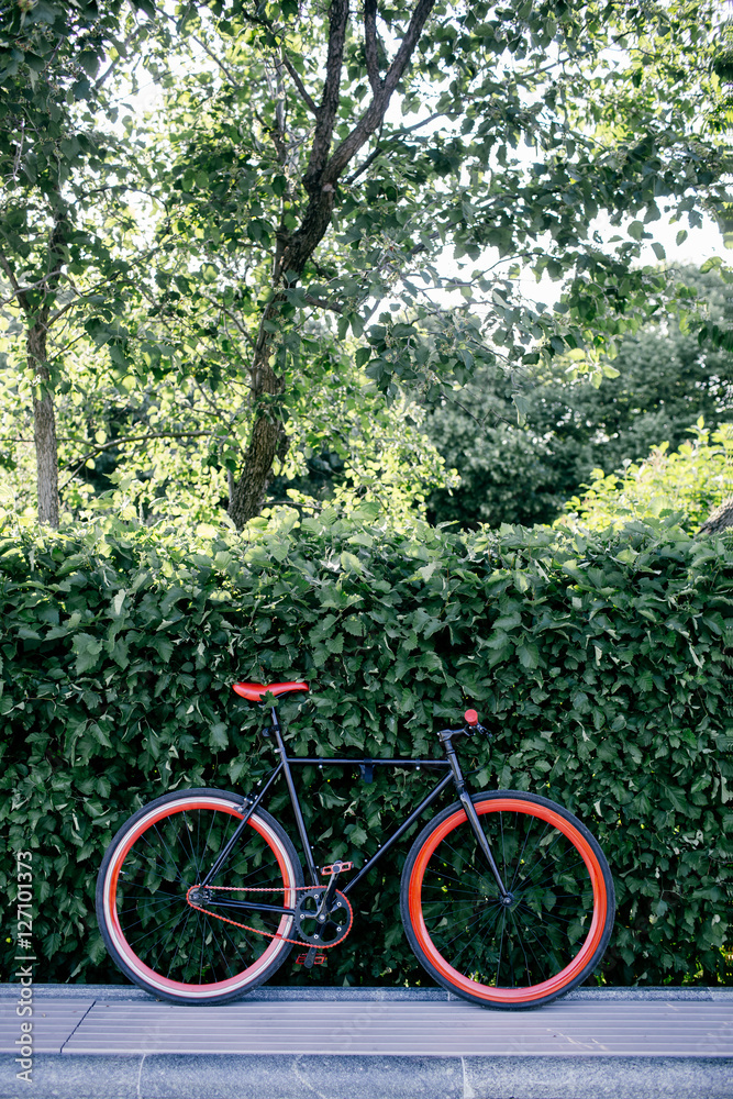 Red bycicle parked near bushes in park