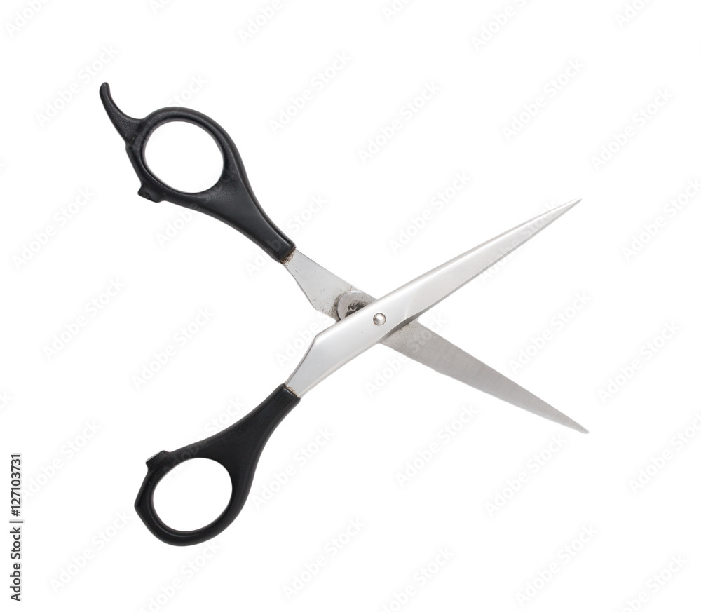 scissors on a white background scissors on a white background