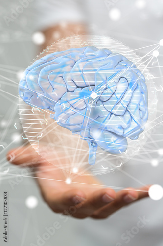 brain