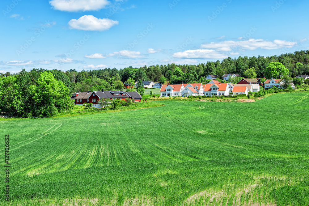 Typical Norwegian house, surrounded by forest Typical Norwegian house, surrounded by forest