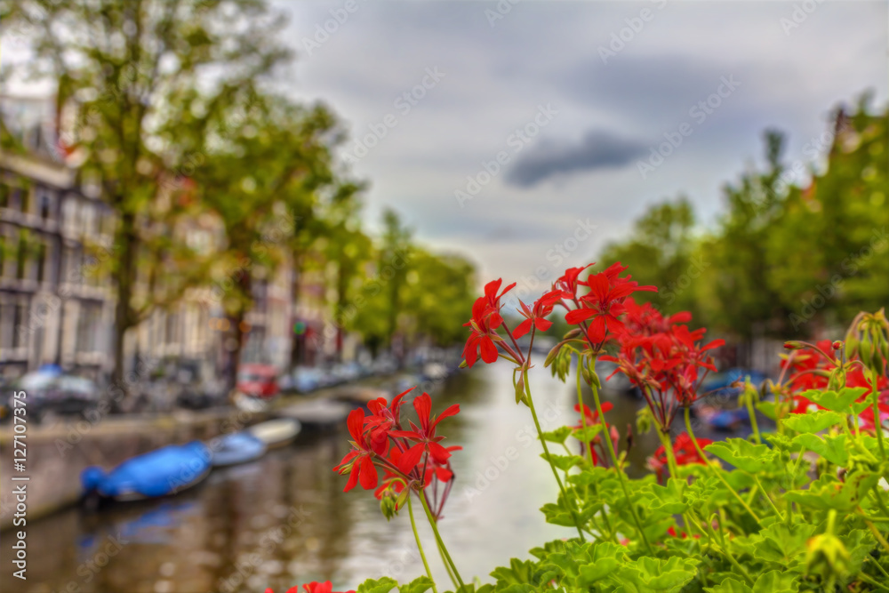 Red flowers on the bridge over the canal in Amsterdam, the Netherlands, HDR Image.