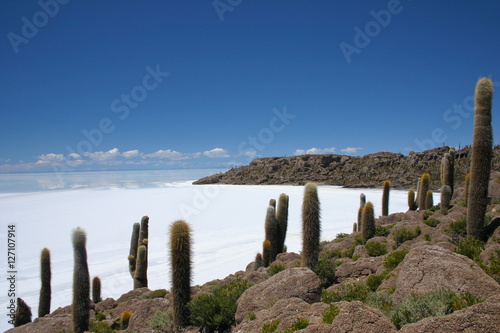 View on the saltflats of salar de uyuni from fisherman's island in Bolivia photo