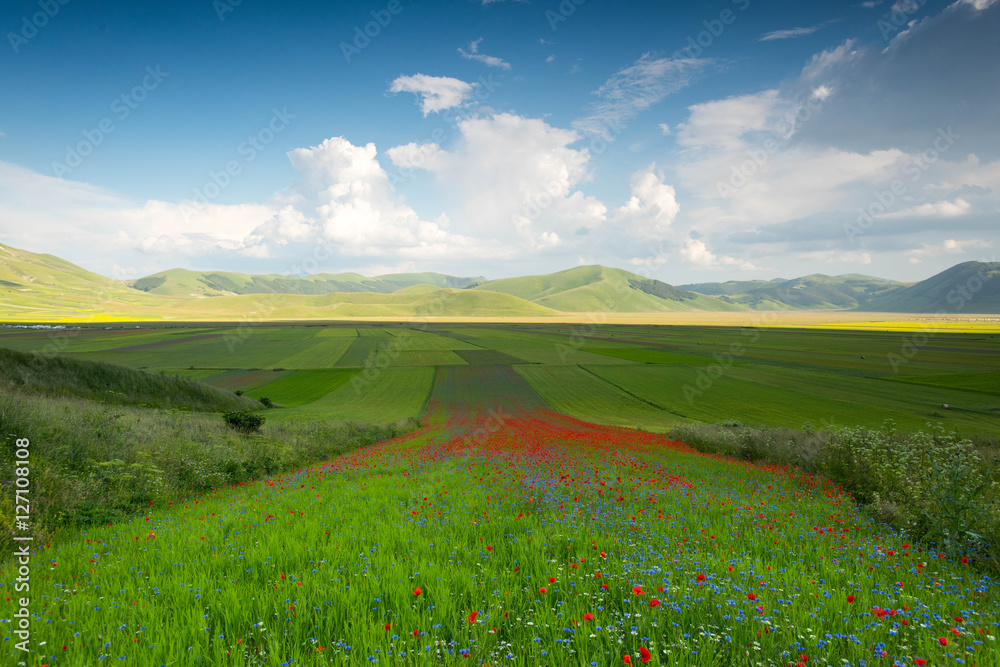 Castelluccio di Norcia