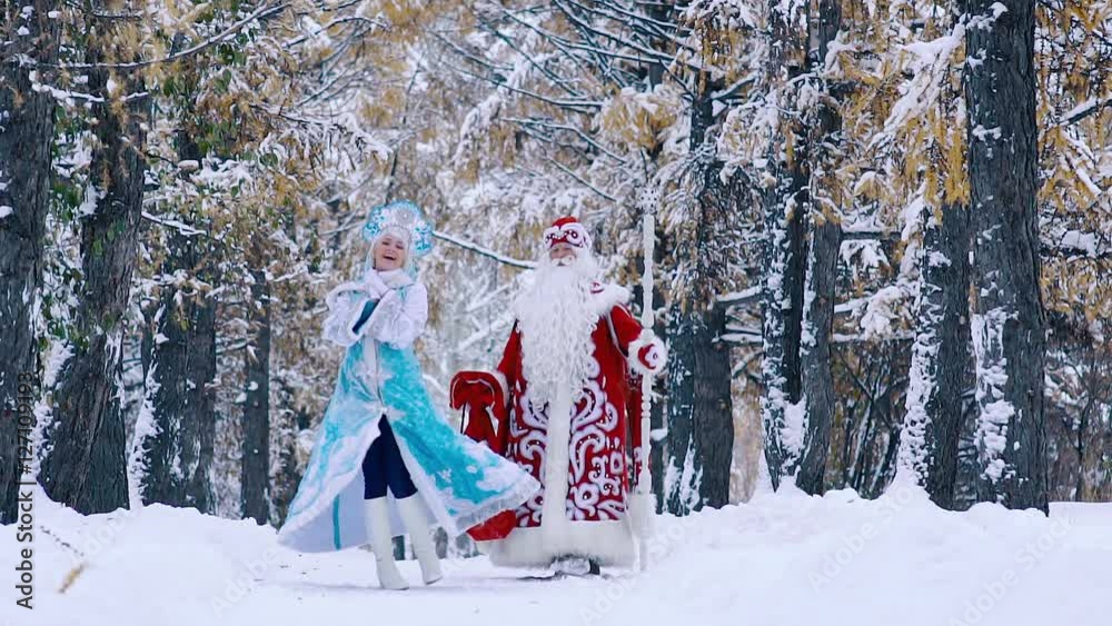 Father Frost and Snow Maiden in beautiful snowy forest walking together ...