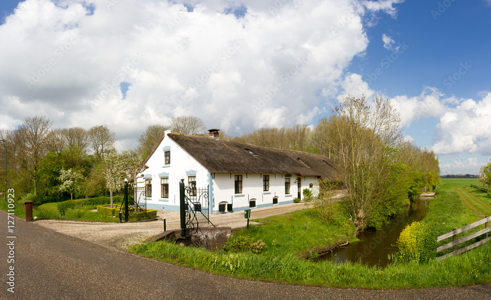 Obraz premium Dutch farm