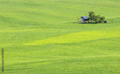 small farm house in green field