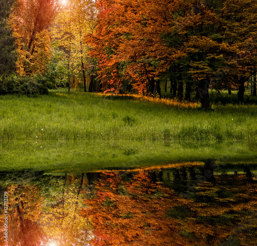 wonderful view. reflection of tree and grass in a lake in the park . Autumn trees with reflection. creative image. quadrate
