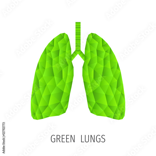 Polygonal green lungs  concept  isolated on white.