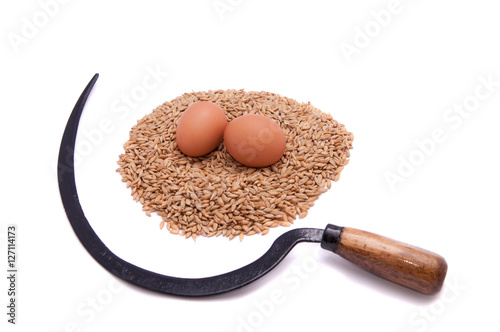 The sickle and eggs on a white background.