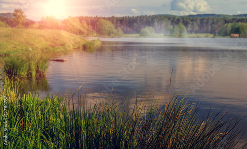 beautiful background. coastal grass on blurred background forest lake in the mountains. illuminates the sun. Unusual and picturesque scene. as background