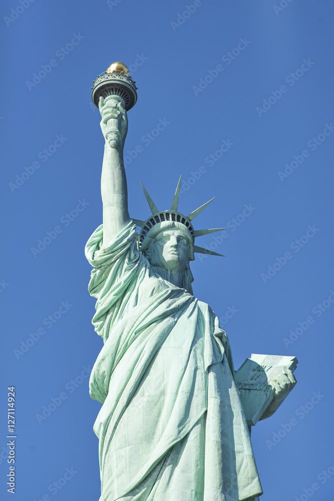Fototapeta premium Statue of Liberty closeup