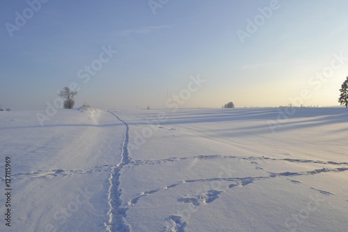 Snow in Poland