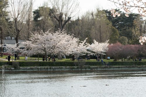 parco fiorito