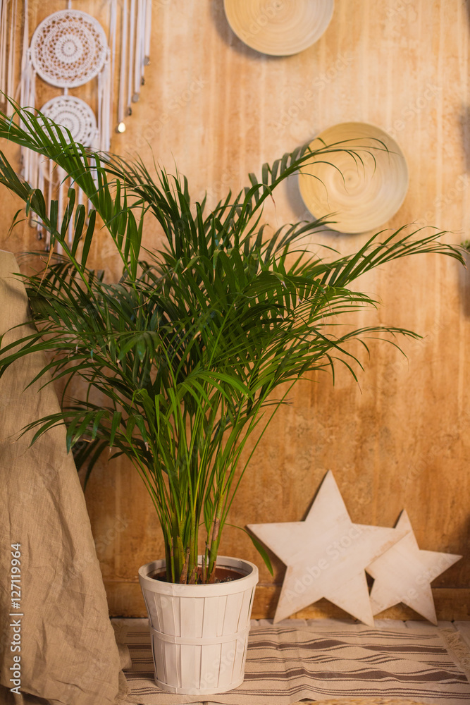 Obraz premium flower on window