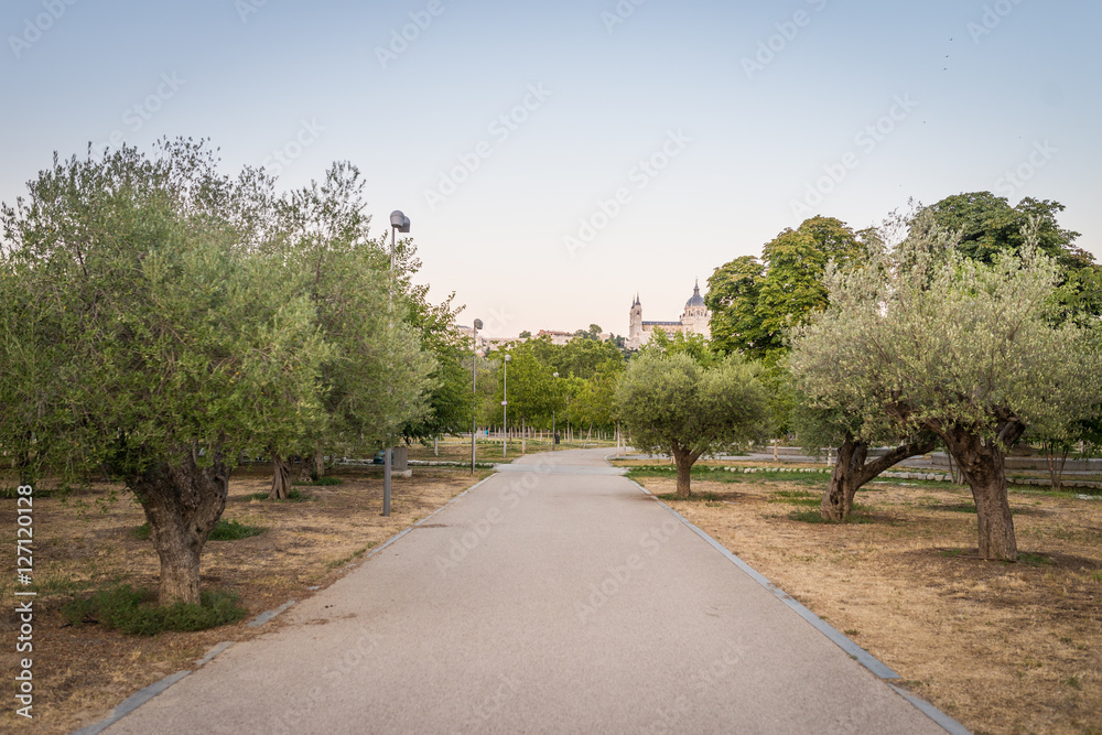 Madrid Skyline with  Almudena Cathedral