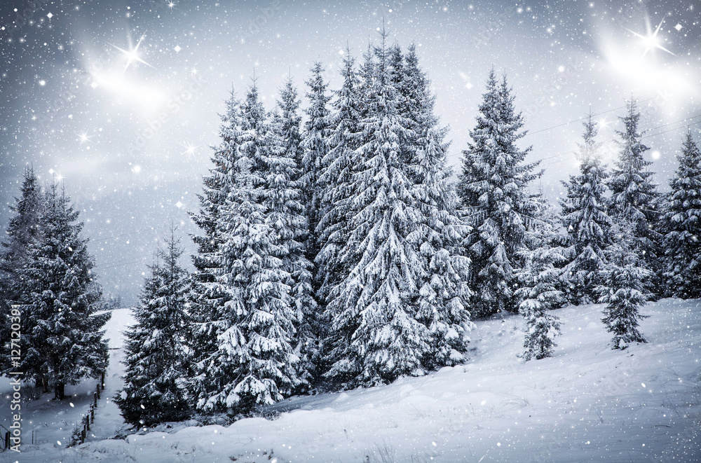 Fototapeta premium snowy winter landscape