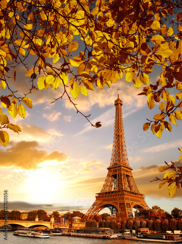 Eiffel Tower with autumn leaves in Paris  France