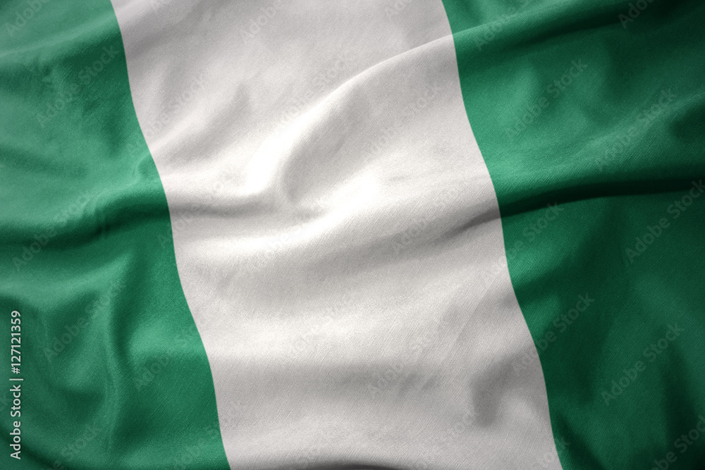 waving colorful flag of nigeria.