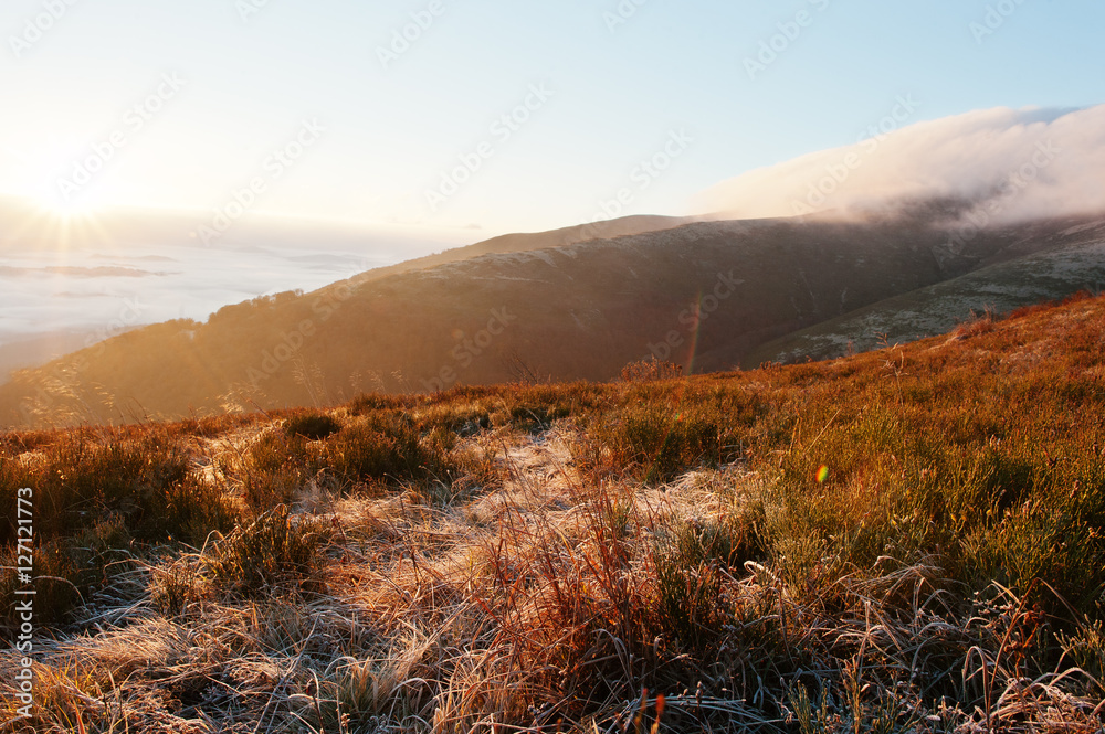 Obraz premium Amazing picturesque landscape of Carpathian mountains on fog and