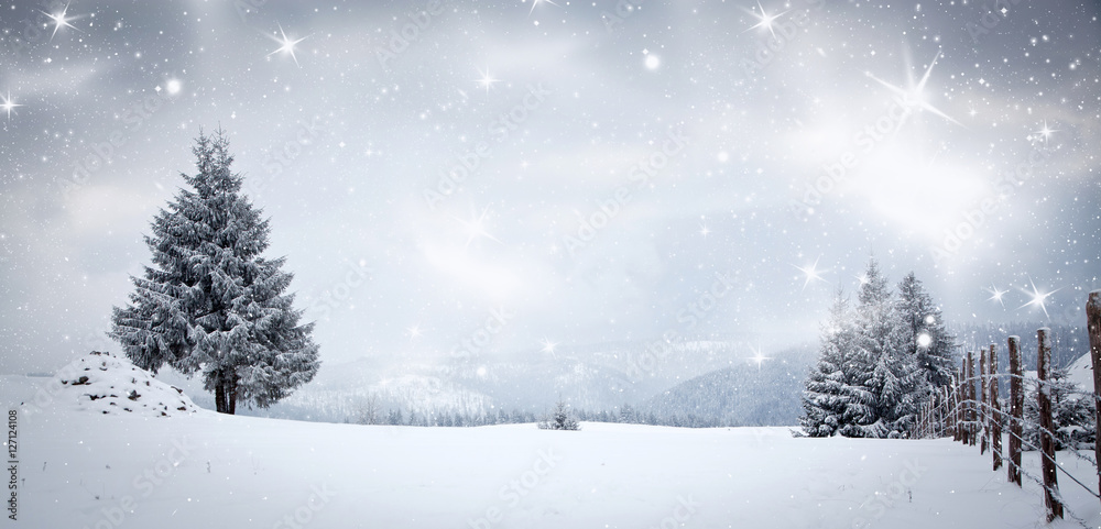 Fototapeta premium snowy winter landscape