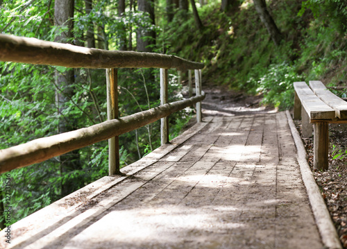 Wooden bridge in the forest