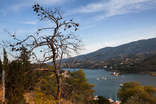 Landscape on the island of Poros, Aegean sea, Greece. © De Visu