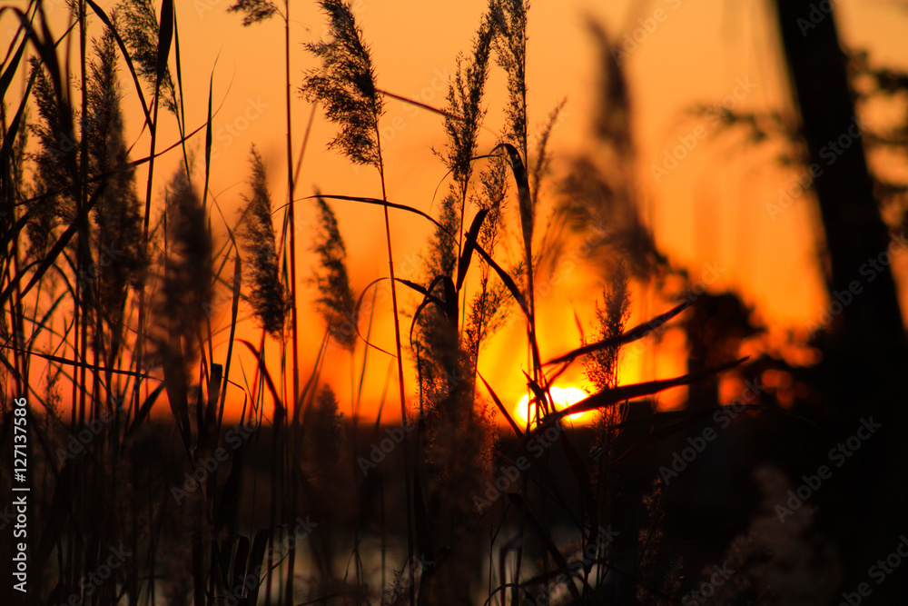 Obraz premium Shore Bokeh at Sunset v. 3