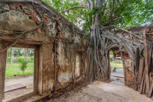 Unseen Thailand, Ruins of old temple with a Bodhi tree root, Wat Sang Kra Tai, Angthong, Thailand (Public property)