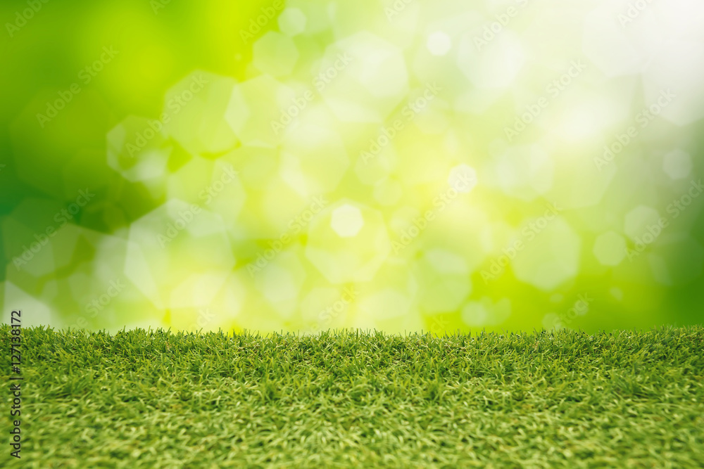 Green grass abstract natural background.