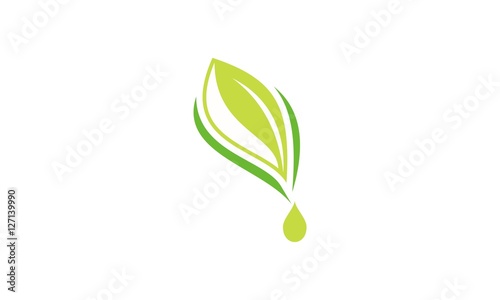 Natural product logo design vector template. Leaf