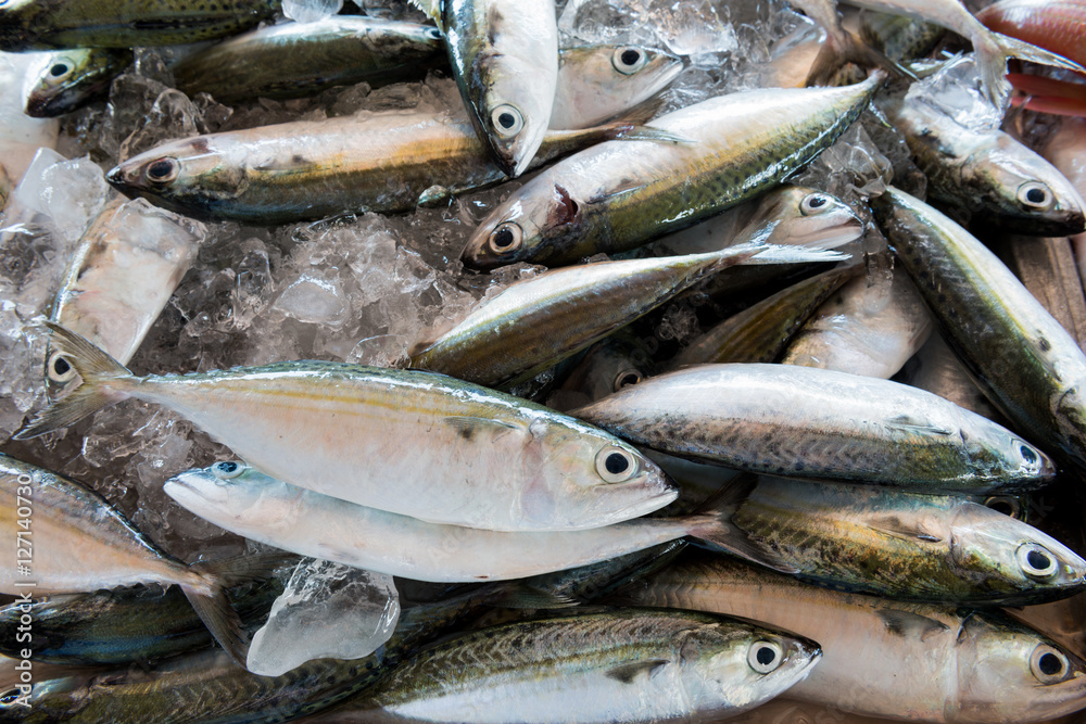 Fresh fishes in a market local market