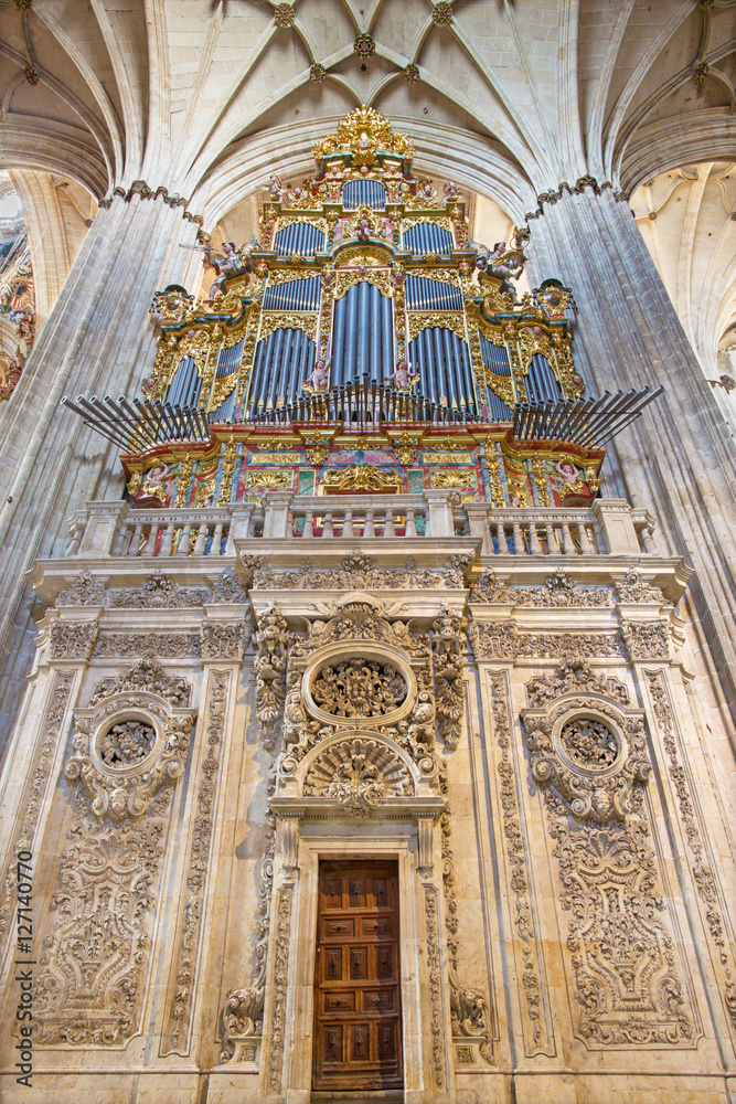SALAMANCA, SPAIN, APRIL - 16, 2016: The Organ and gothic vault of Cathedral.