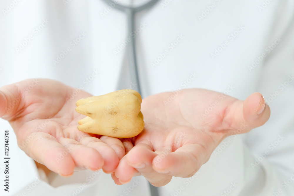 dentist holding molar,hygiene dental concept