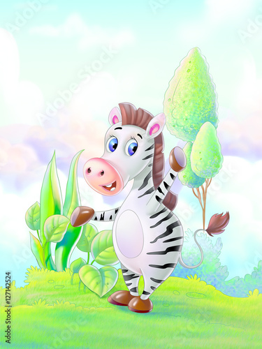Zebra